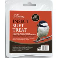 Suet Treat - Insect