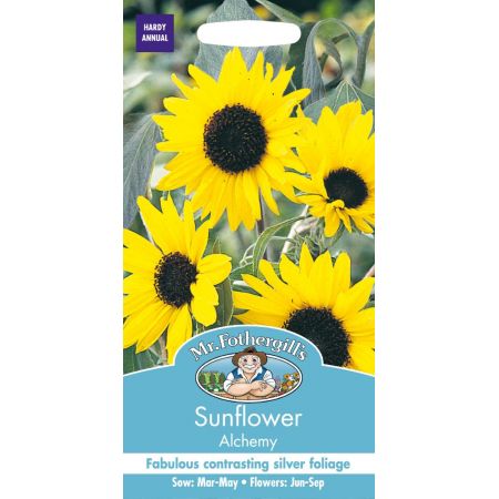 UK/FO-SUNFLOWER Alchemy - image 1