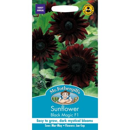 UK/FO-SUNFLOWER Black Magic F1 - image 1