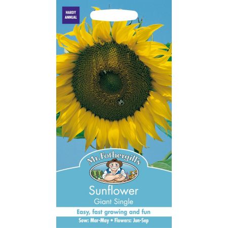 UK/FO-SUNFLOWER Giant Single - image 1