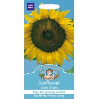 UK/FO-SUNFLOWER Giant Single - image 1
