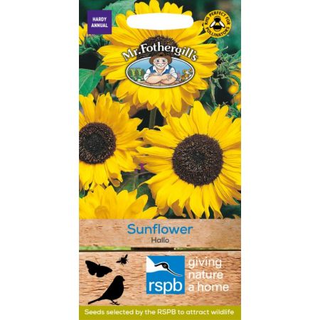 UK/FO-SUNFLOWER Hallo - image 1