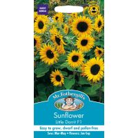 UK/FO-SUNFLOWER Little Dorrit F1