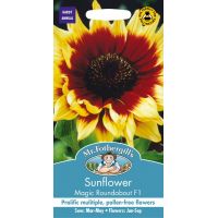 UK/FO-SUNFLOWER Magic Roundabout F1 - image 1