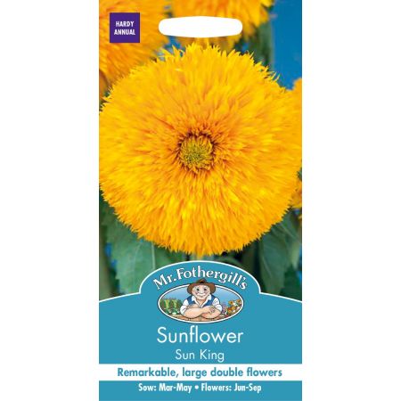 UK/FO-SUNFLOWER Sun King - image 1