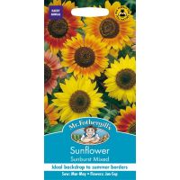 UK/FO-SUNFLOWER Sunburst Mixed - image 1