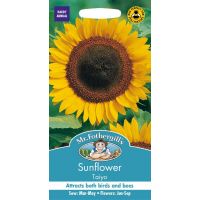 UK/FO-SUNFLOWER Taiyo - image 1