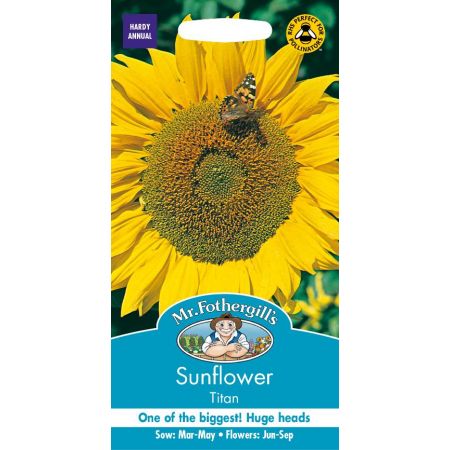 UK/FO-SUNFLOWER Titan - image 1