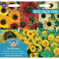 UK/FO-SUNFLOWERS COLLECTION - image 2