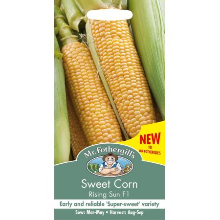 UK/FO-SWEET CORN Rising Sun F1 - image 1