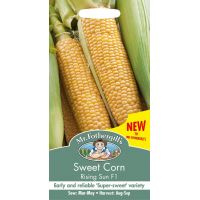 UK/FO-SWEET CORN Rising Sun F1 - image 1