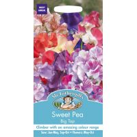 UK/FO-SWEET PEA Big Top - image 1