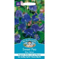 UK/FO-SWEET PEA Blue Velvet - image 1