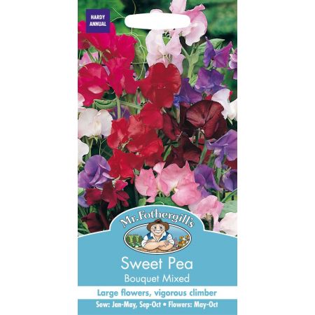 UK/FO-SWEET PEA Bouquet Mixed - image 1