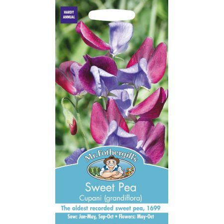 UK/FO-SWEET PEA Cupani (grandiflora) - image 1