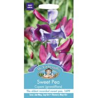 UK/FO-SWEET PEA Cupani (grandiflora) - image 1