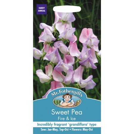 UK/FO-SWEET PEA Fire & Ice - image 1