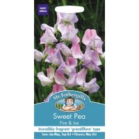 UK/FO-SWEET PEA Fire & Ice - image 1