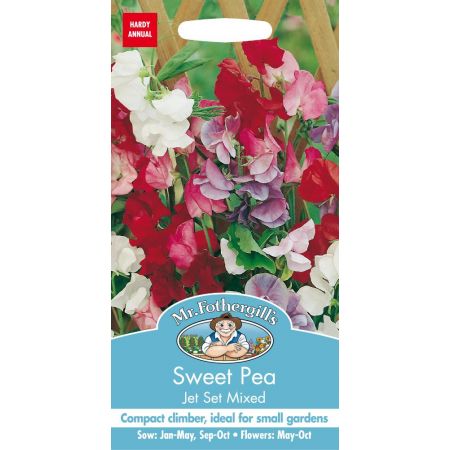UK/FO-SWEET PEA Jet Set Mixed - image 1