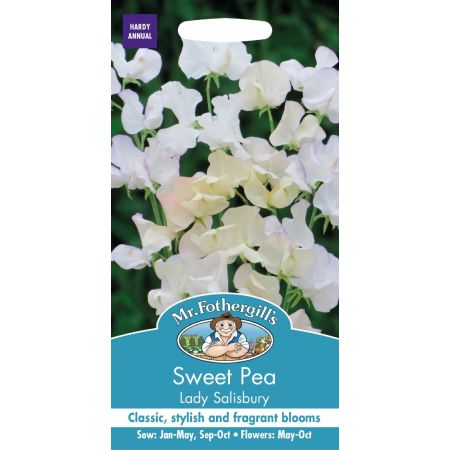 UK/FO-SWEET PEA Lady Salibury - image 1