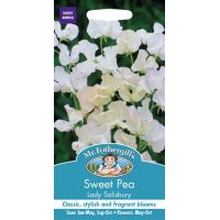 UK/FO-SWEET PEA Lady Salibury - image 1