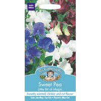 UK/FO-SWEET PEA Little Bit O Magic - image 1