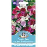 UK/FO-SWEET PEA Old Spice Mixed (grandiflora) - image 1