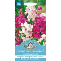 UK/FO-SWEET PEA Perennial Everlasting Mixed - image 1