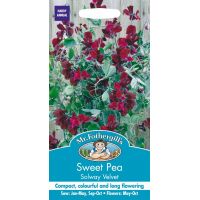 UK/FO-SWEET PEA Solway Velvet - image 1
