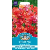 UK/FO-SWEET PEA Summer Sizzler - image 1