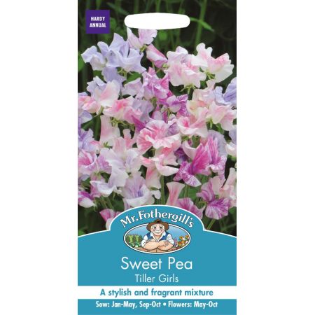 UK/FO-SWEET PEA Tiller Girls - image 1