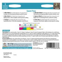 UK/FO-SWEET PEAS COLLECTION - image 2