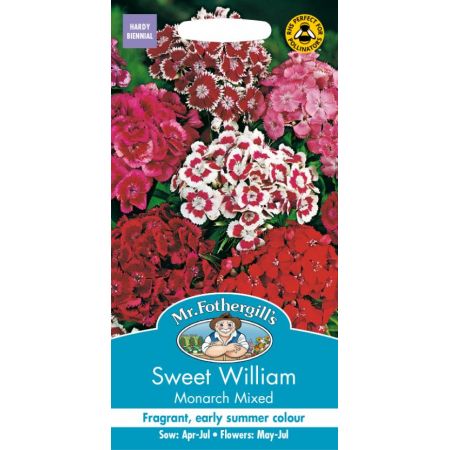 UK/FO-SWEET WILLIAM Monarch Mixed - image 1