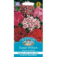 UK/FO-SWEET WILLIAM Monarch Mixed - image 1