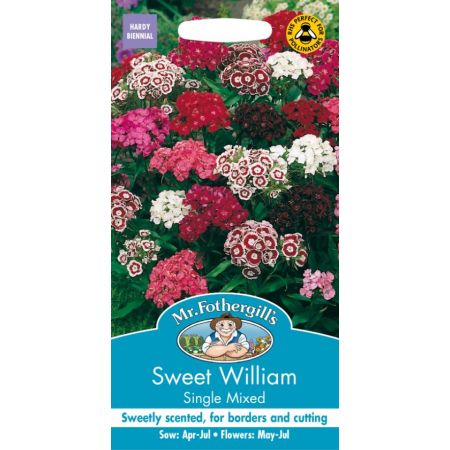 UK/FO-SWEET WILLIAM Single Mixed - image 1