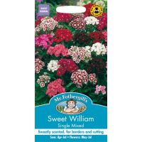 UK/FO-SWEET WILLIAM Single Mixed - image 1