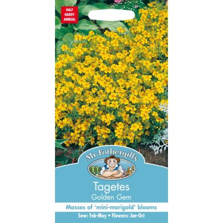 UK/FO-TAGETES Golden Gem - image 1