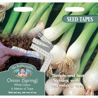 UK/FO-TAPE ONION (Spring) White Lisbon - image 1