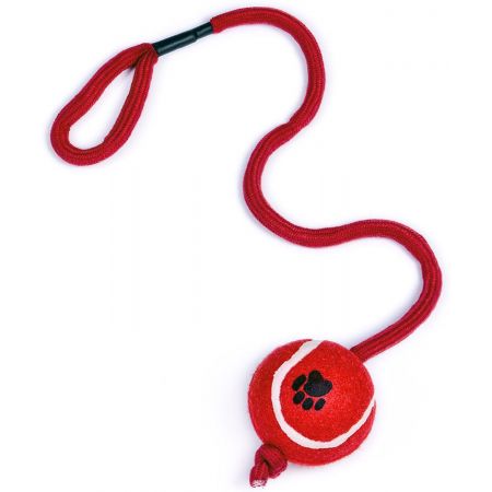 Tennis Ball On A Rope