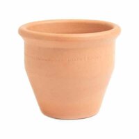 Terracotta Pots & Saucers
