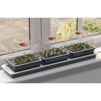 Three Top Windowsill Seed Propagator (Unheated) - image 2