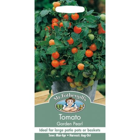 UK/FO-TOMATO Garden Pearl - image 1