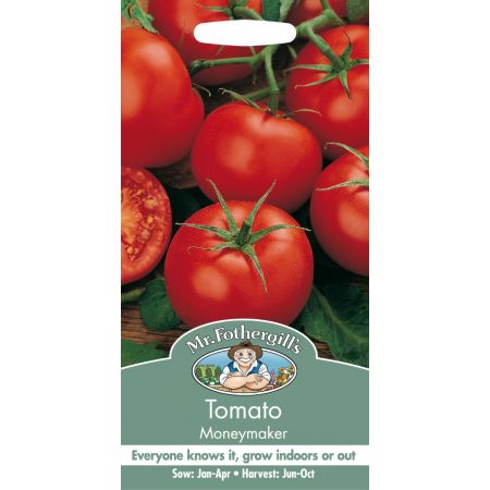 UK/FO-TOMATO Moneymaker - image 1