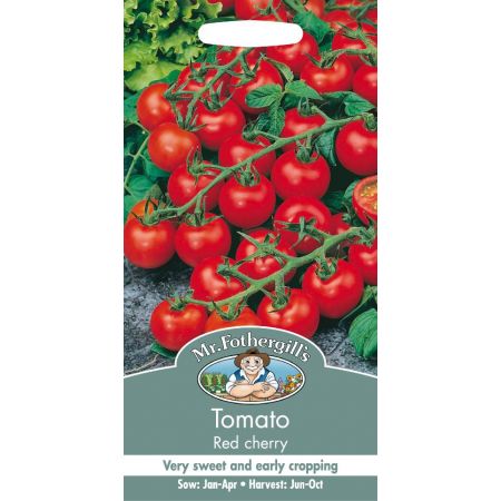 UK/FO-TOMATO Red Cherry - image 1