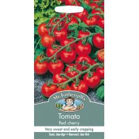 UK/FO-TOMATO Red Cherry - image 1