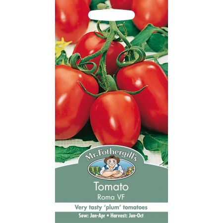 UK/FO-TOMATO Roma VF - image 1