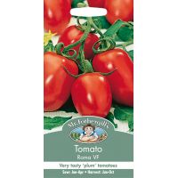 UK/FO-TOMATO Roma VF - image 1