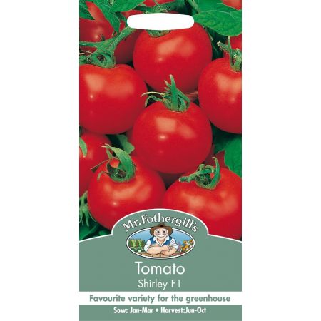 UK/FO-TOMATO Shirley F1 - image 1