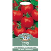 UK/FO-TOMATO Shirley F1 - image 1