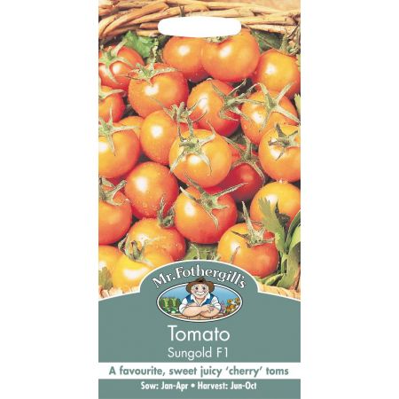 UK/FO-TOMATO Sungold F1 - image 1
